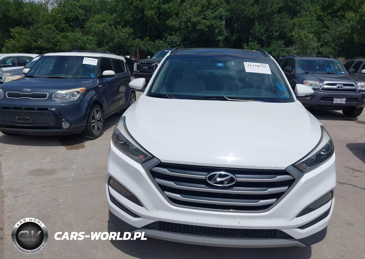 2018 Hyundai Tucson Value VIN:KM8J33A2XJU806219 - 12