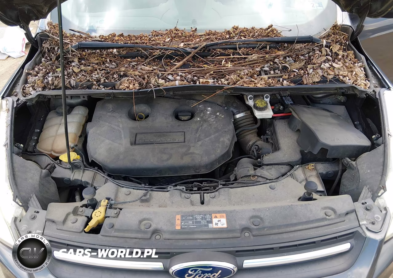 2016 Ford Escape Se VIN:1FMCU0G99GUA40467 - 10