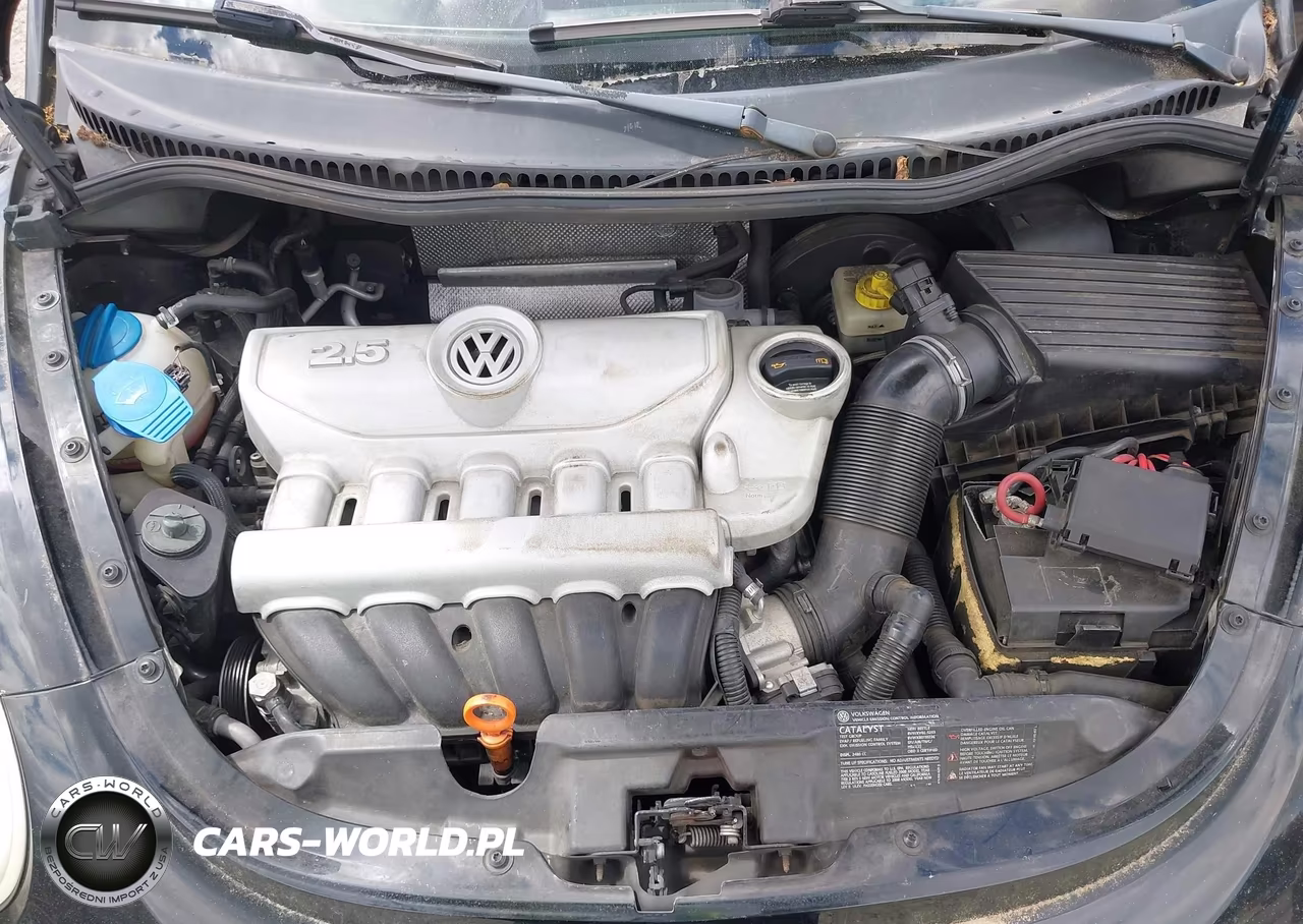 2008 Volkswagen New Beetle S VIN:3VWPF31Y58M411841 - 10