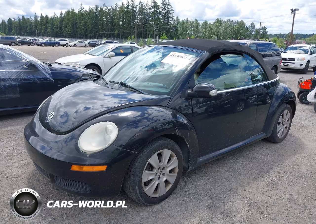 2008 Volkswagen New Beetle S VIN:3VWPF31Y58M411841 - 2