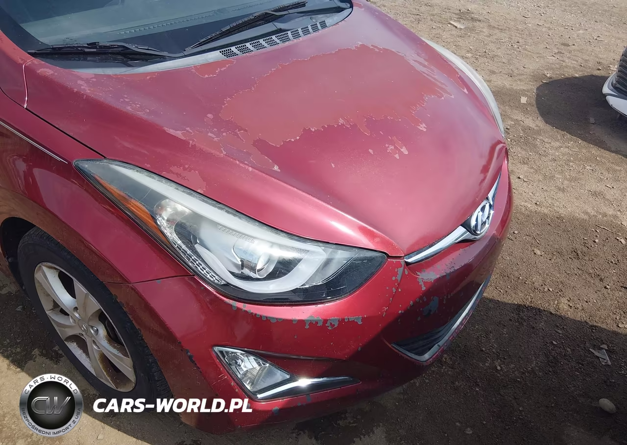 2015 Hyundai Elantra Se VIN:5NPDH4AE6FH557096 - 12