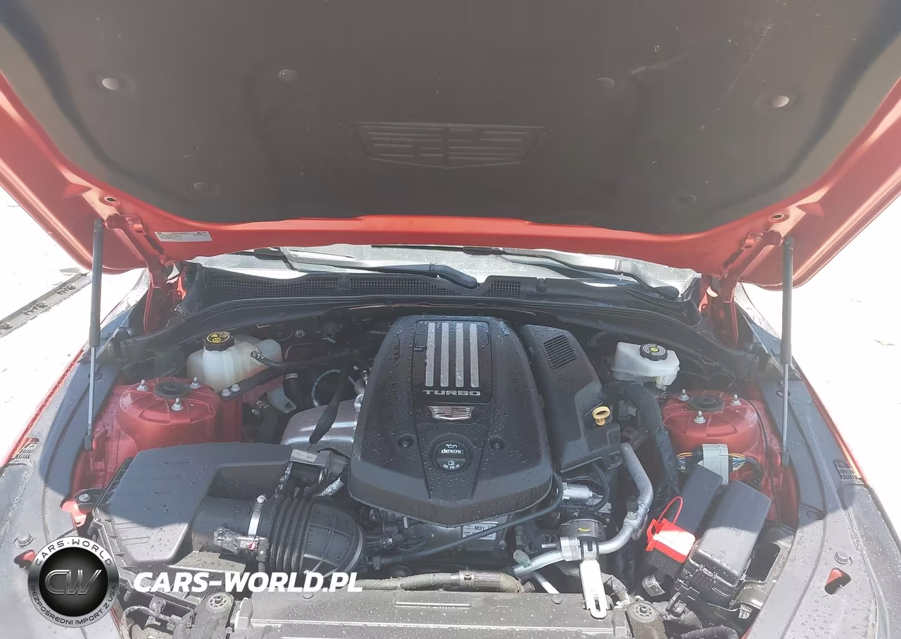 2020 Cadillac Ct4 V-Series VIN:1G6DH5RL0L0137354 - 10
