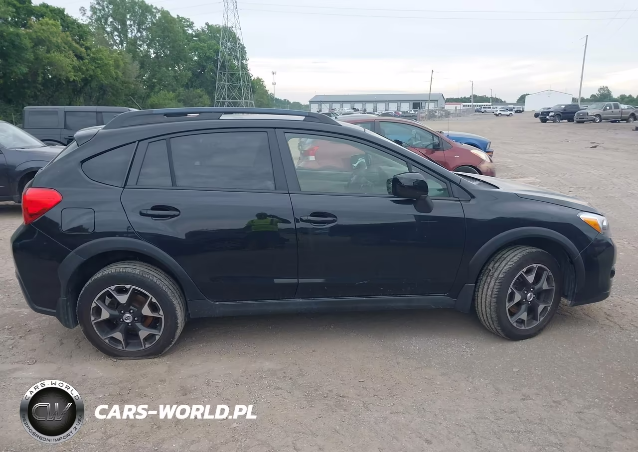 2014 Subaru Xv Crosstrek 2.0I Limited VIN:JF2GPAGCXE8318699 - 13