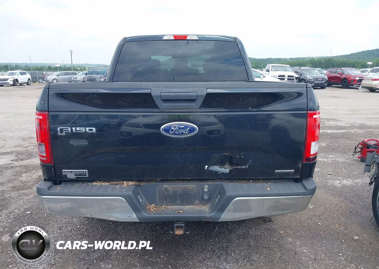 2016 Ford F-150 Xlt VIN:1FTEW1C89GKF17257 - 17