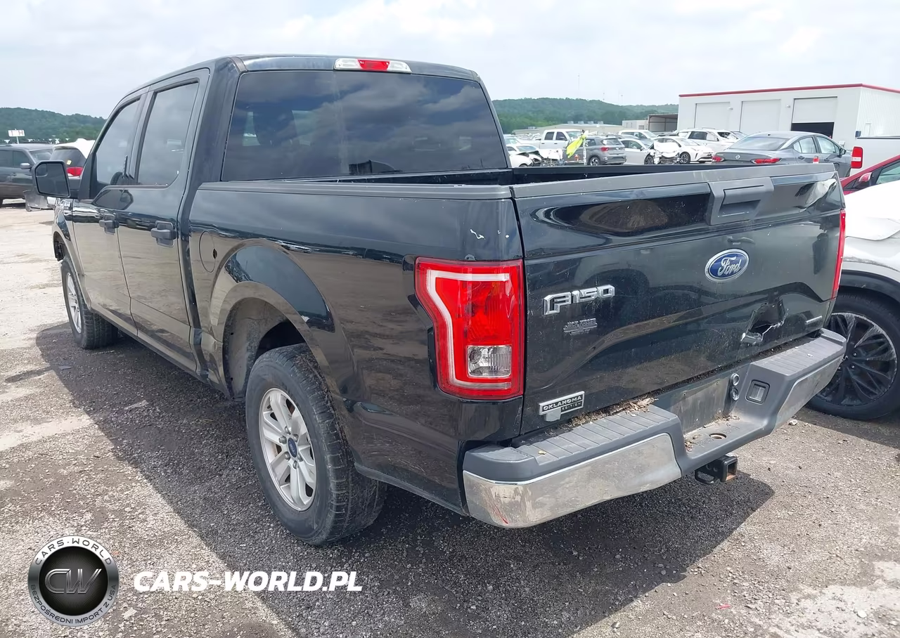 2016 Ford F-150 Xlt VIN:1FTEW1C89GKF17257 - 3