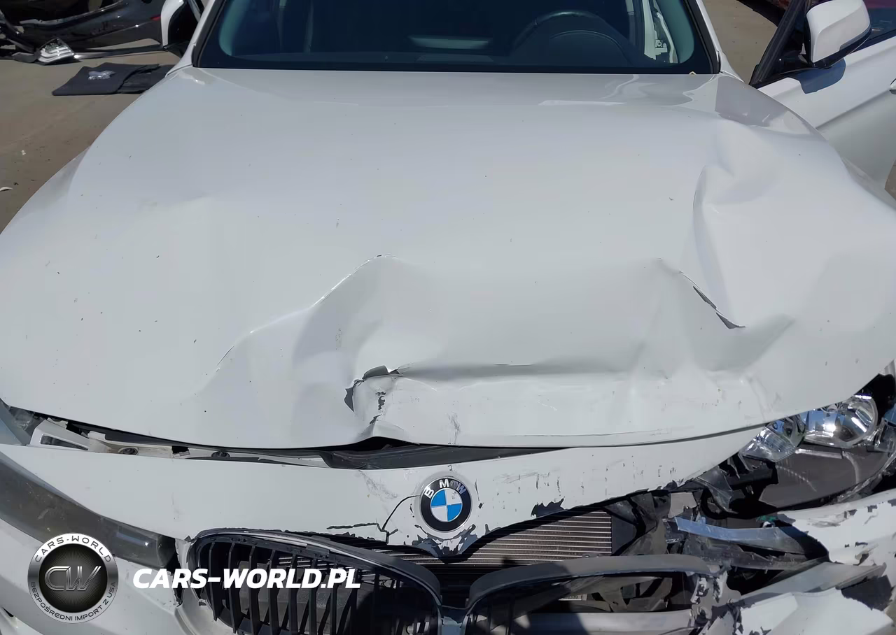 2015 BMW 320I VIN:WBA3B1G5XFNT06226 - 10