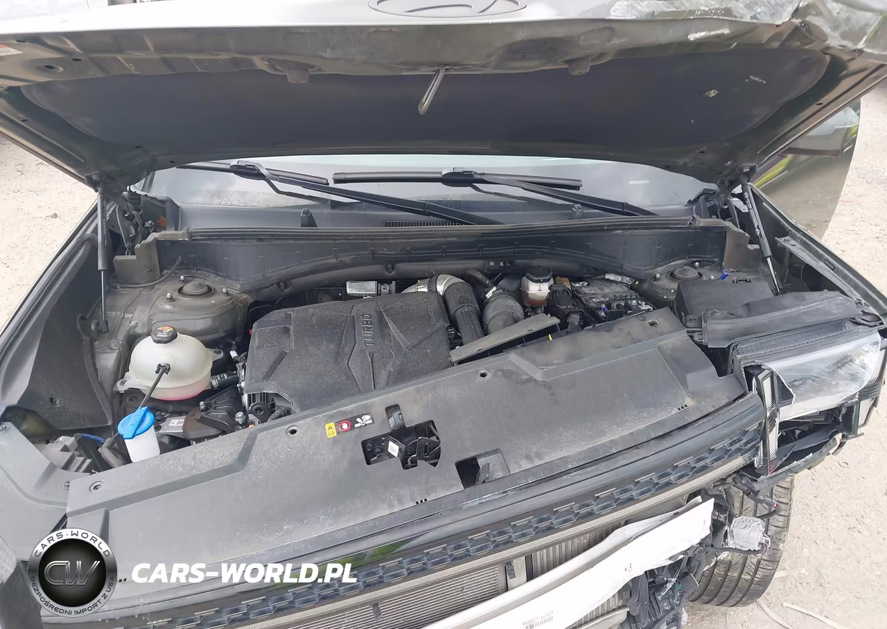 2024 Hyundai Santa Fe Calligraphy VIN:5NMP54GL6RH032245 - 10