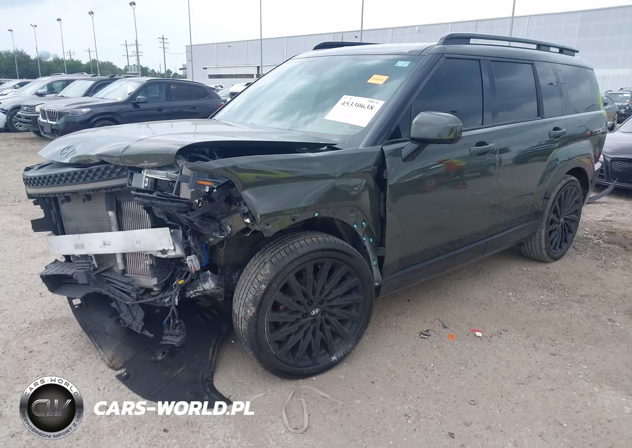 2024 Hyundai Santa Fe Calligraphy VIN:5NMP54GL6RH032245 - 2