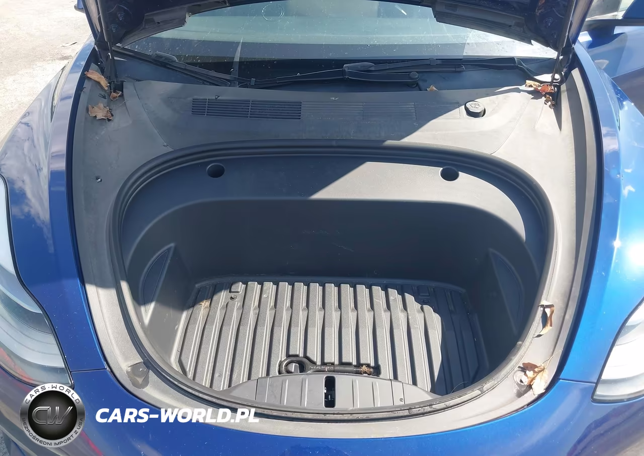 2023 Tesla Model 3 Long Range Dual Motor All-Wheel Drive VIN:5YJ3E1EB0PF619823 - 10