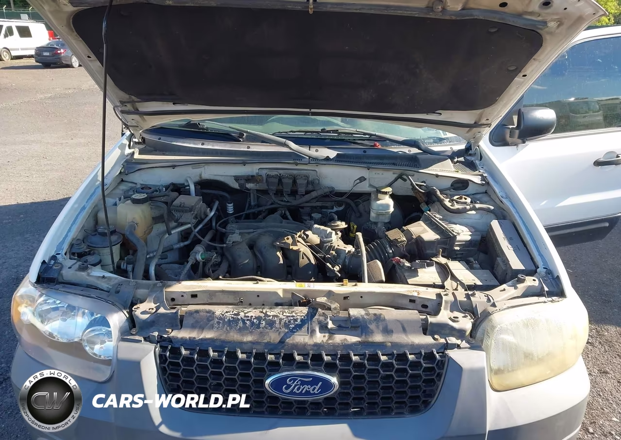FORD ESCAPE VIN:1FMYU93135KA52035 - 10