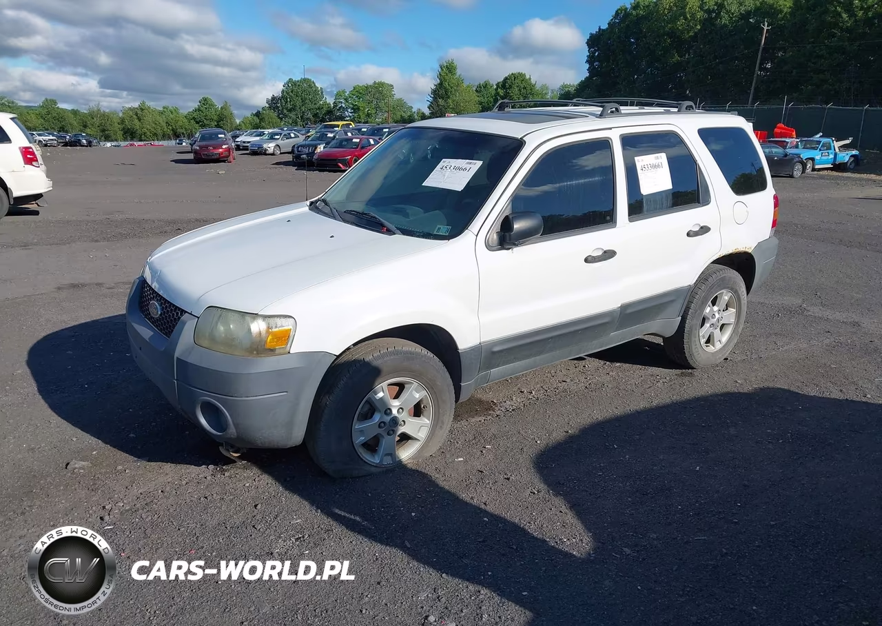 FORD ESCAPE VIN:1FMYU93135KA52035 - 2