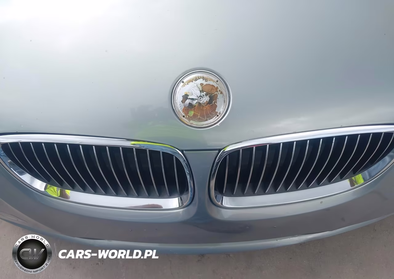 2007 BMW 335I VIN:WBAWL73567PX46095 - 12