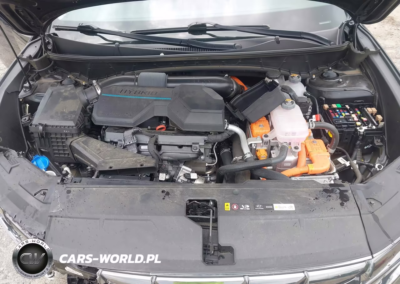 2024 Hyundai Tucson Hybrid Limited VIN:KM8JECD1XRU227305 - 10