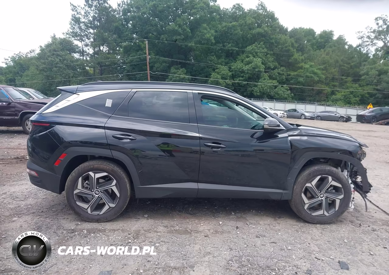 2024 Hyundai Tucson Hybrid Limited VIN:KM8JECD1XRU227305 - 13
