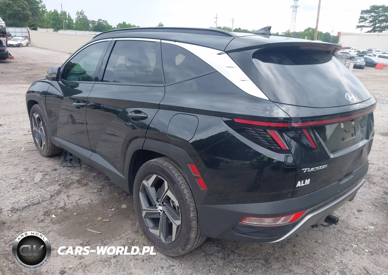 2024 Hyundai Tucson Hybrid Limited VIN:KM8JECD1XRU227305 - 3