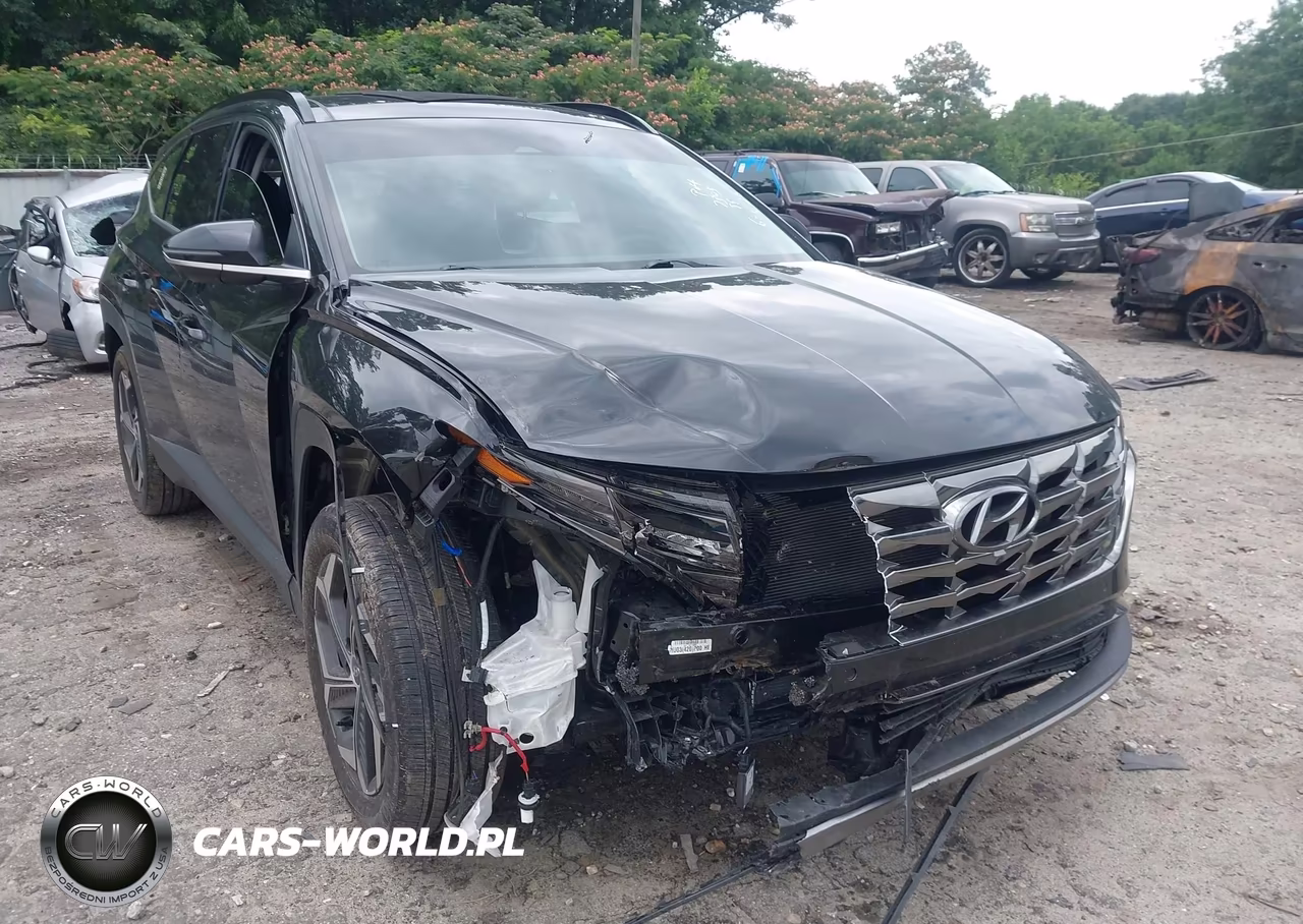 2024 Hyundai Tucson Hybrid Limited VIN:KM8JECD1XRU227305 - 6