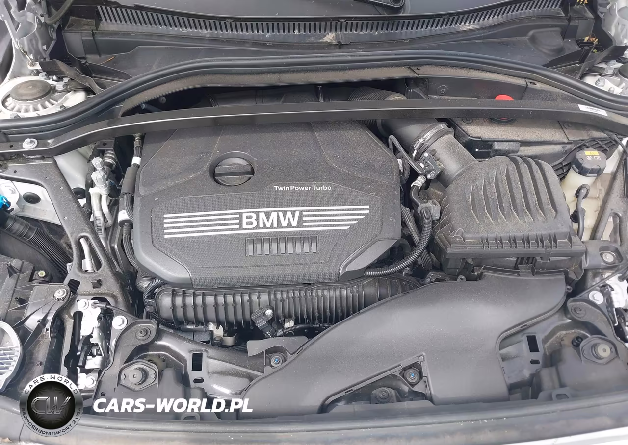 2022 BMW 228 Gran Coupe I xDrive VIN:WBA73AK01N7K35804 - 10