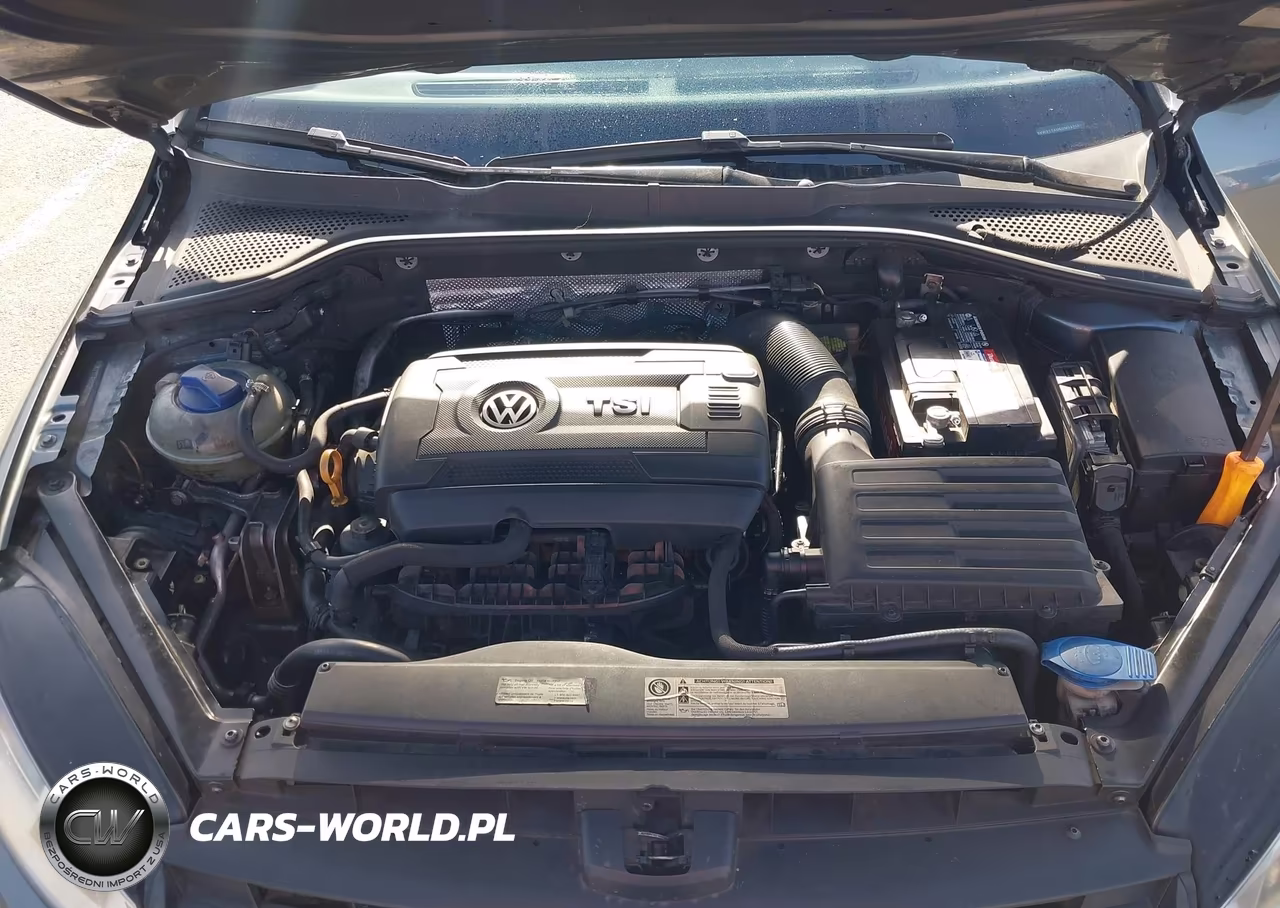 2016 Volkswagen Golf Tsi S 4-Door VIN:3VW217AU6GM033881 - 10