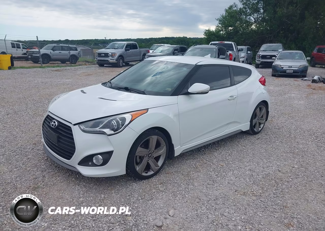 2013 Hyundai Veloster Turbo W-Black VIN:KMHTC6AE3DU156402 - 2