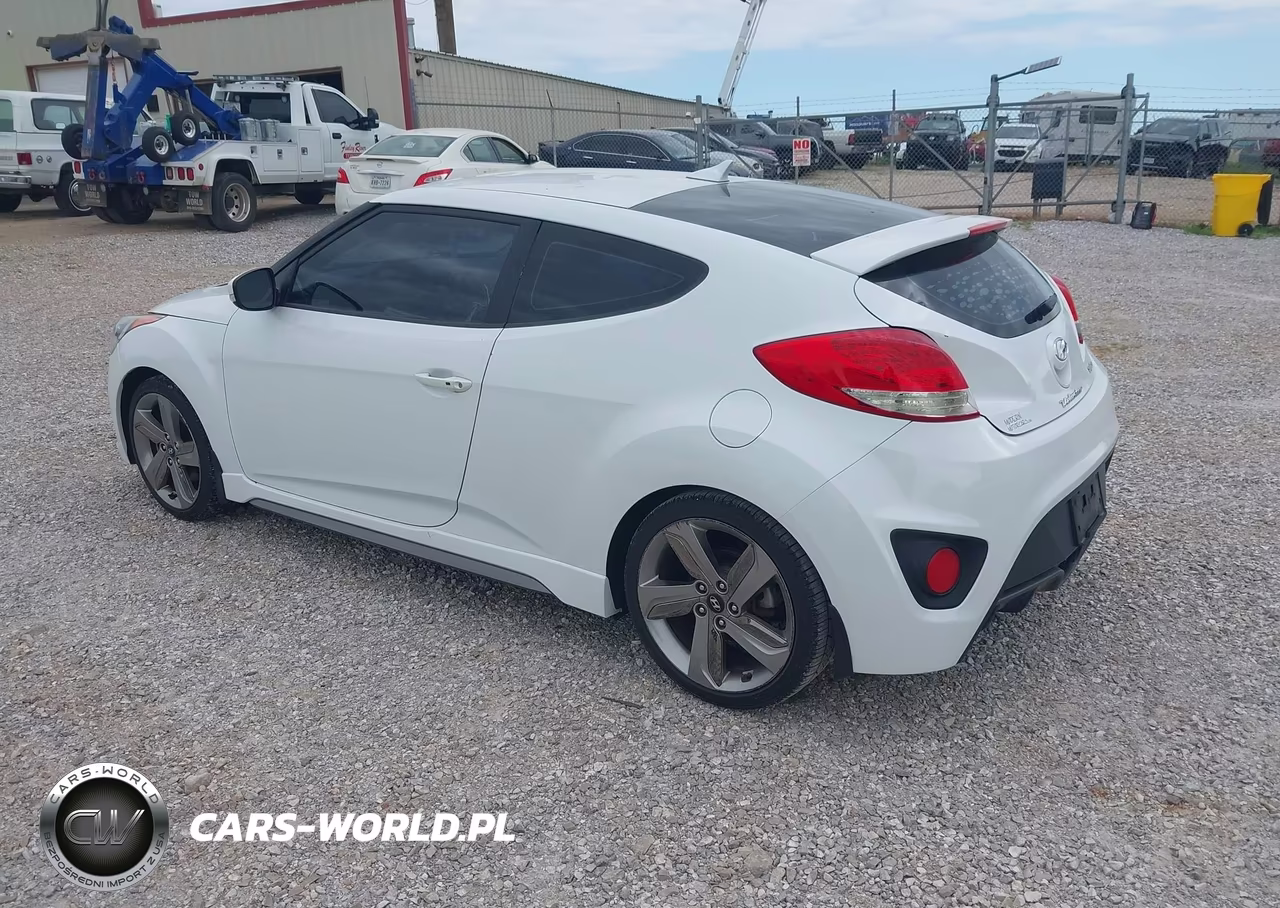 2013 Hyundai Veloster Turbo W-Black VIN:KMHTC6AE3DU156402 - 3