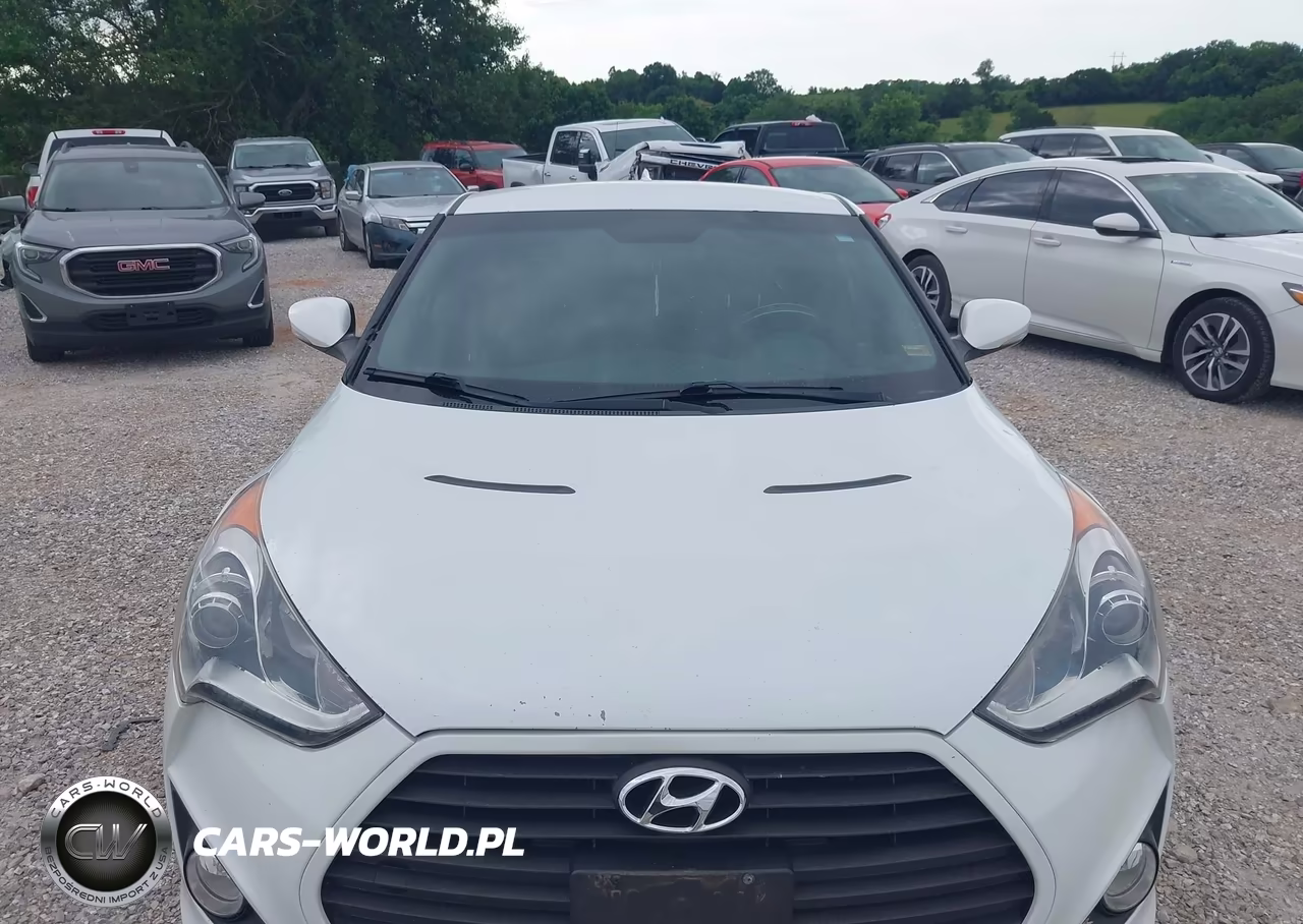2013 Hyundai Veloster Turbo W-Black VIN:KMHTC6AE3DU156402 - 6