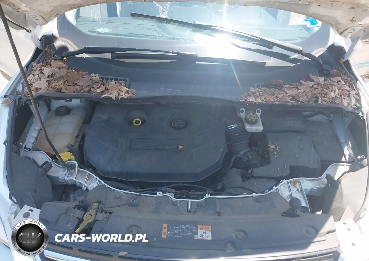 2015 Ford Escape Titanium VIN:1FMCU0J90FUA57892 - 10
