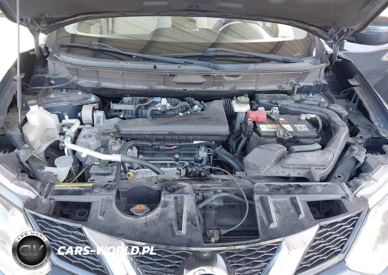 2016 Nissan Rogue Sv VIN:KNMAT2MVXGP681251 - 10