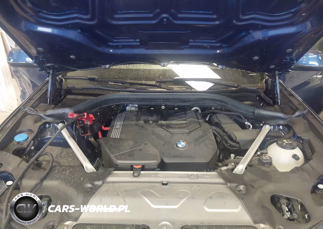 2024 BMW X3 Sdrive30I VIN:5UX43DP05R9V12527 - 10