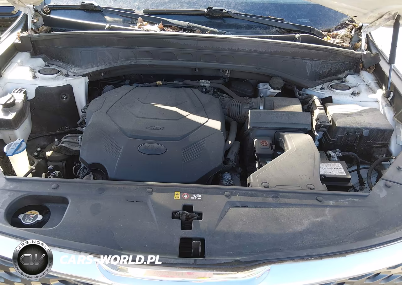 2020 Kia Telluride Lx VIN:5XYP2DHCXLG019748 - 10