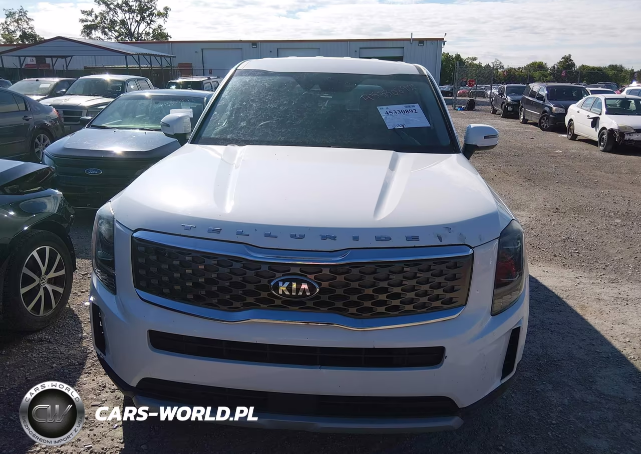 2020 Kia Telluride Lx VIN:5XYP2DHCXLG019748 - 12