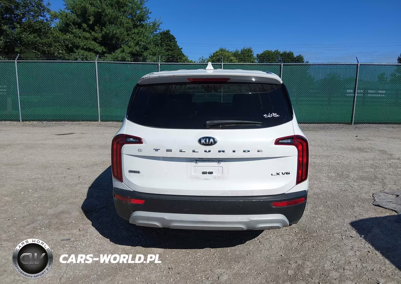 2020 Kia Telluride Lx VIN:5XYP2DHCXLG019748 - 16