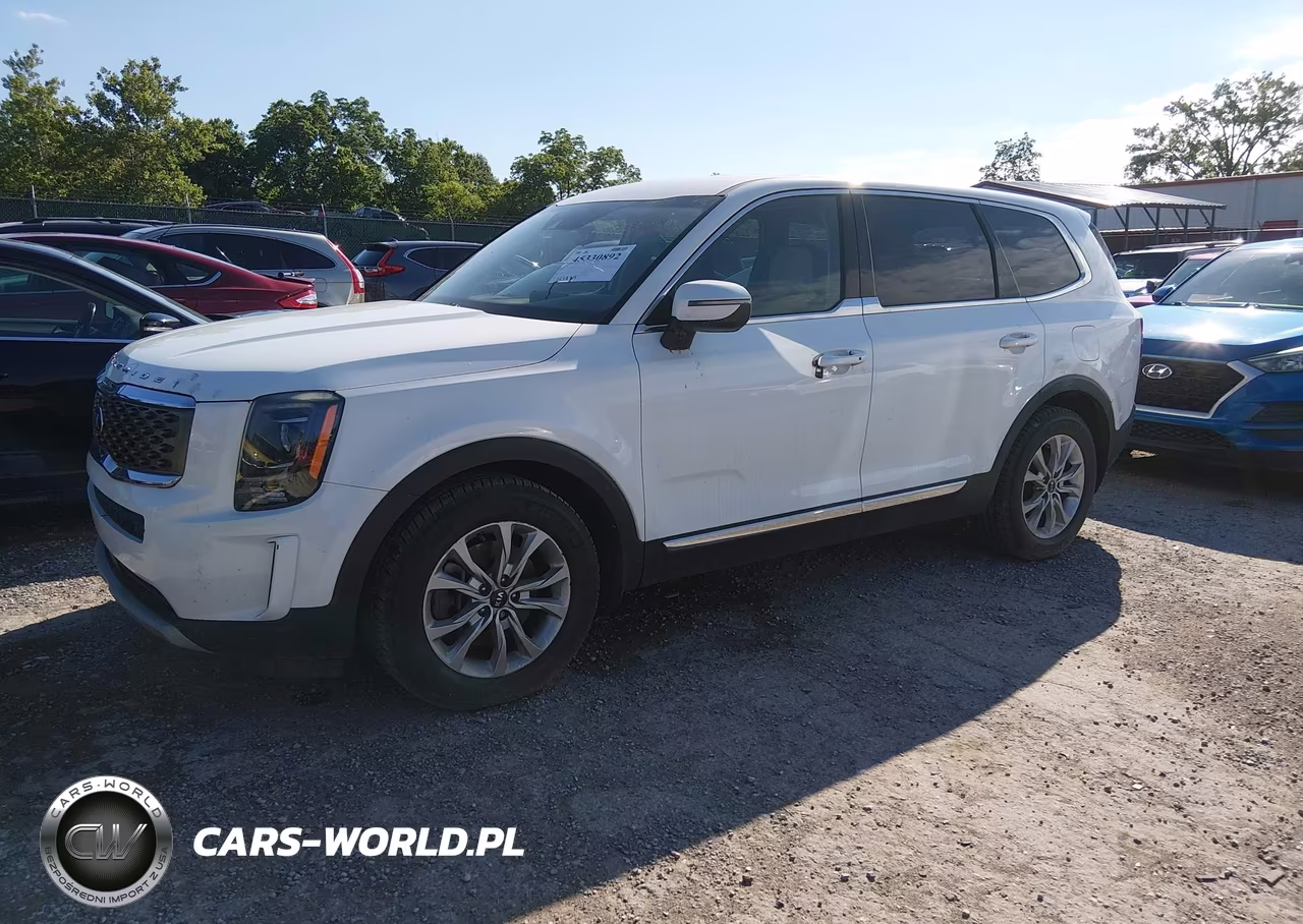 2020 Kia Telluride Lx VIN:5XYP2DHCXLG019748 - 2