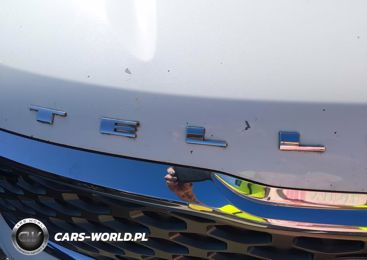 2020 Kia Telluride Lx VIN:5XYP2DHCXLG019748 - 20