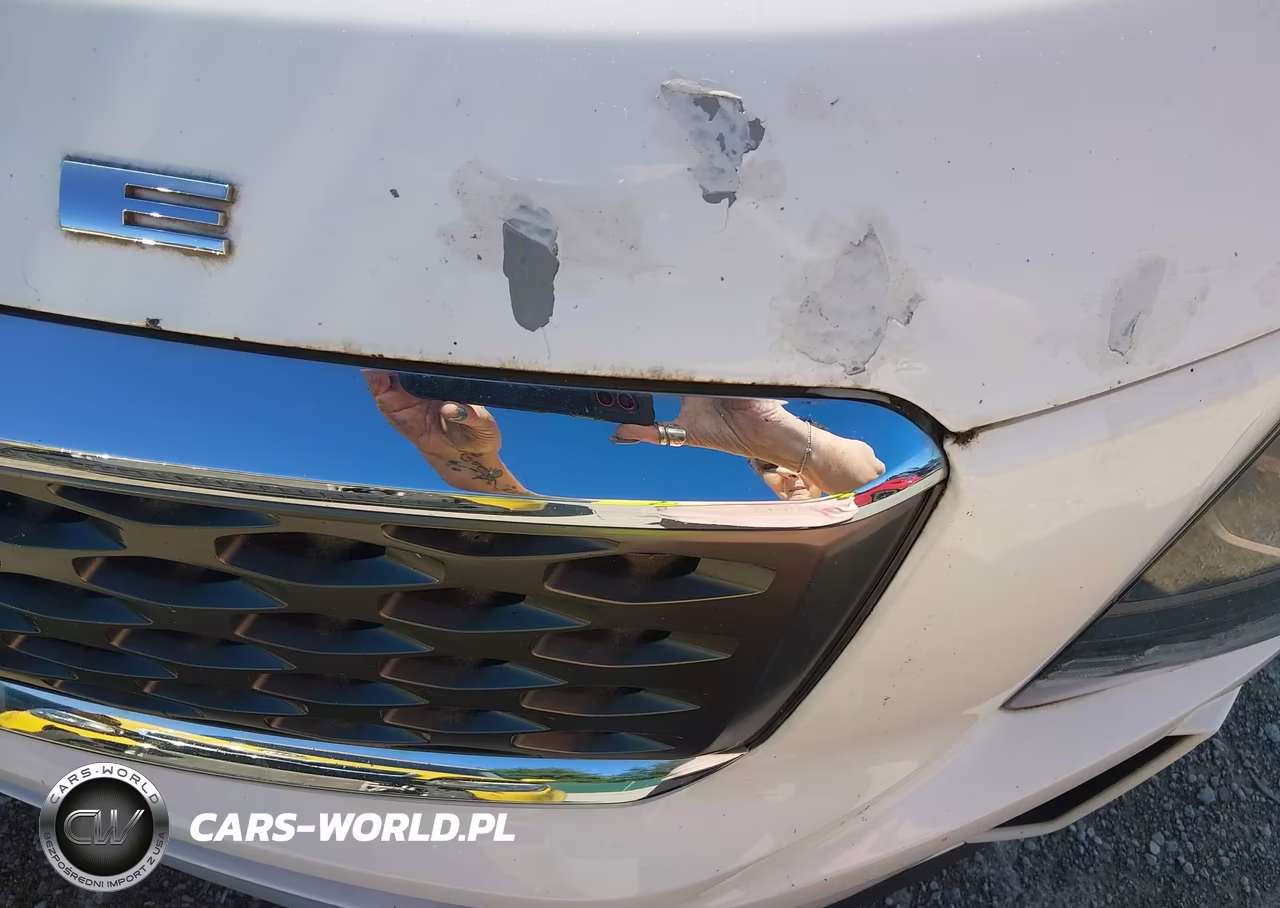 2020 Kia Telluride Lx VIN:5XYP2DHCXLG019748 - 21