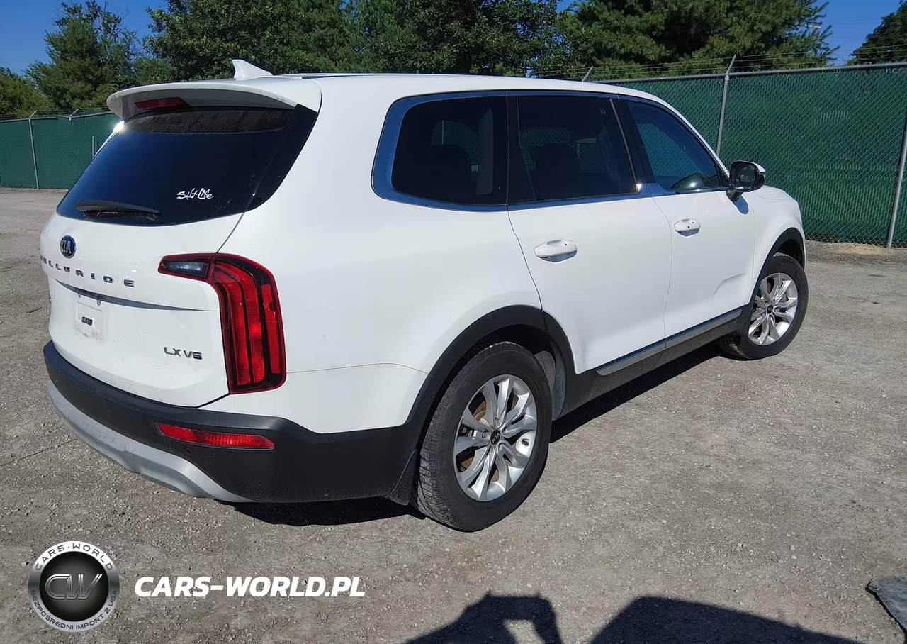 2020 Kia Telluride Lx VIN:5XYP2DHCXLG019748 - 4