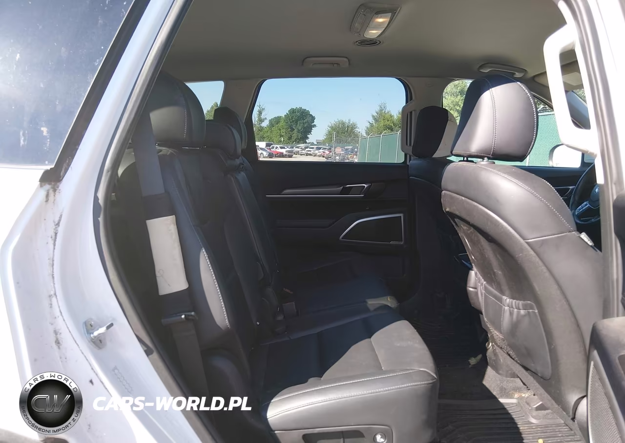 2020 Kia Telluride Lx VIN:5XYP2DHCXLG019748 - 8