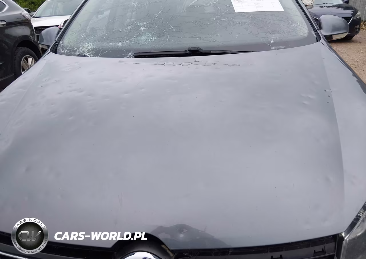2013 Volkswagen Jetta Sportwagen 2.0L Tdi VIN:3VWPL7AJ6DM639067 - 6