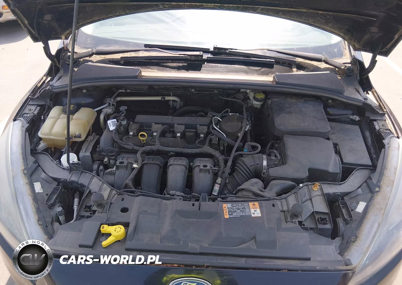 2016 Ford Focus Se VIN:1FADP3K25GL259692 - 10