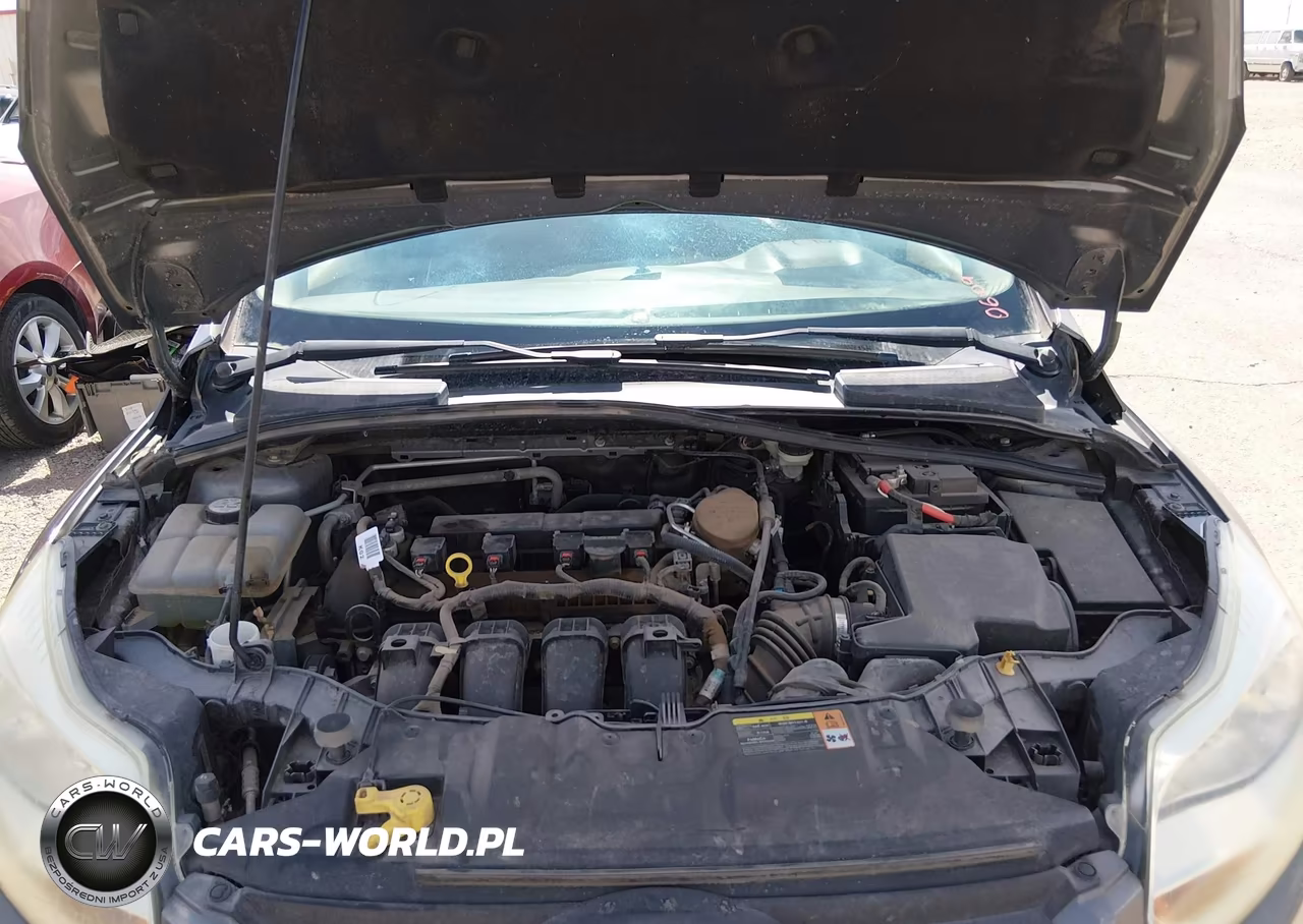 2013 Ford Focus Se VIN:1FADP3K23DL247469 - 10