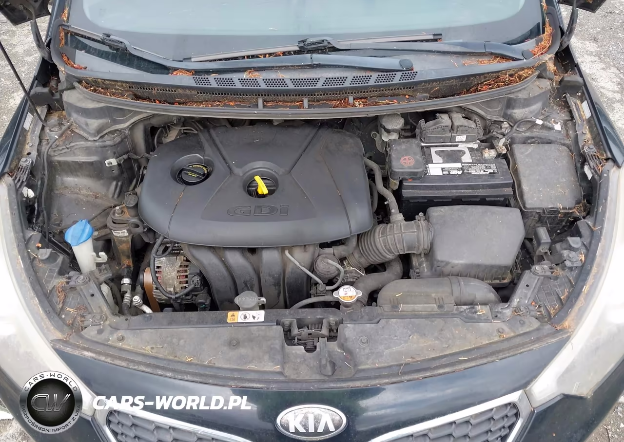 2014 Kia Forte Ex VIN:KNAFX4A87E5056445 - 10