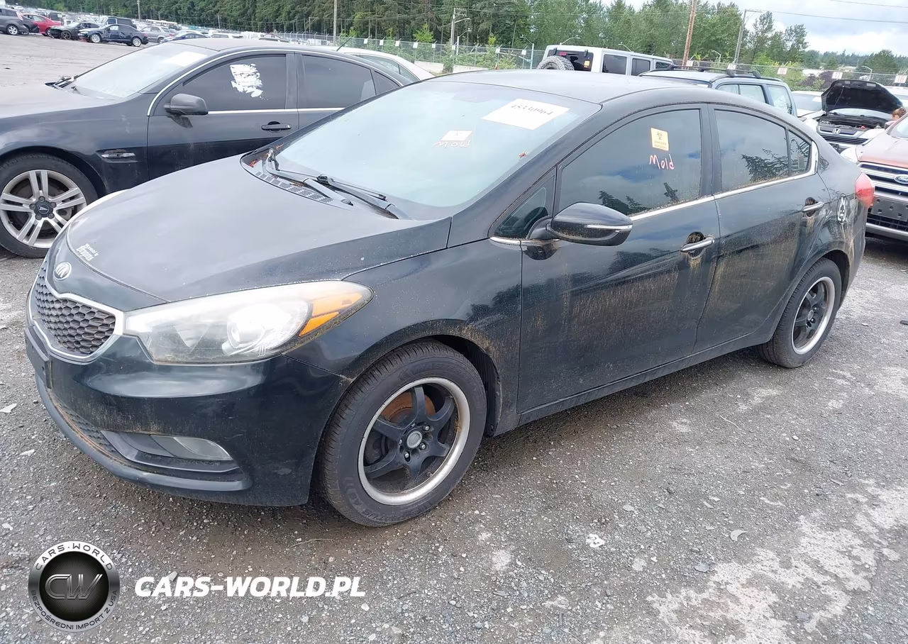 2014 Kia Forte Ex VIN:KNAFX4A87E5056445 - 2
