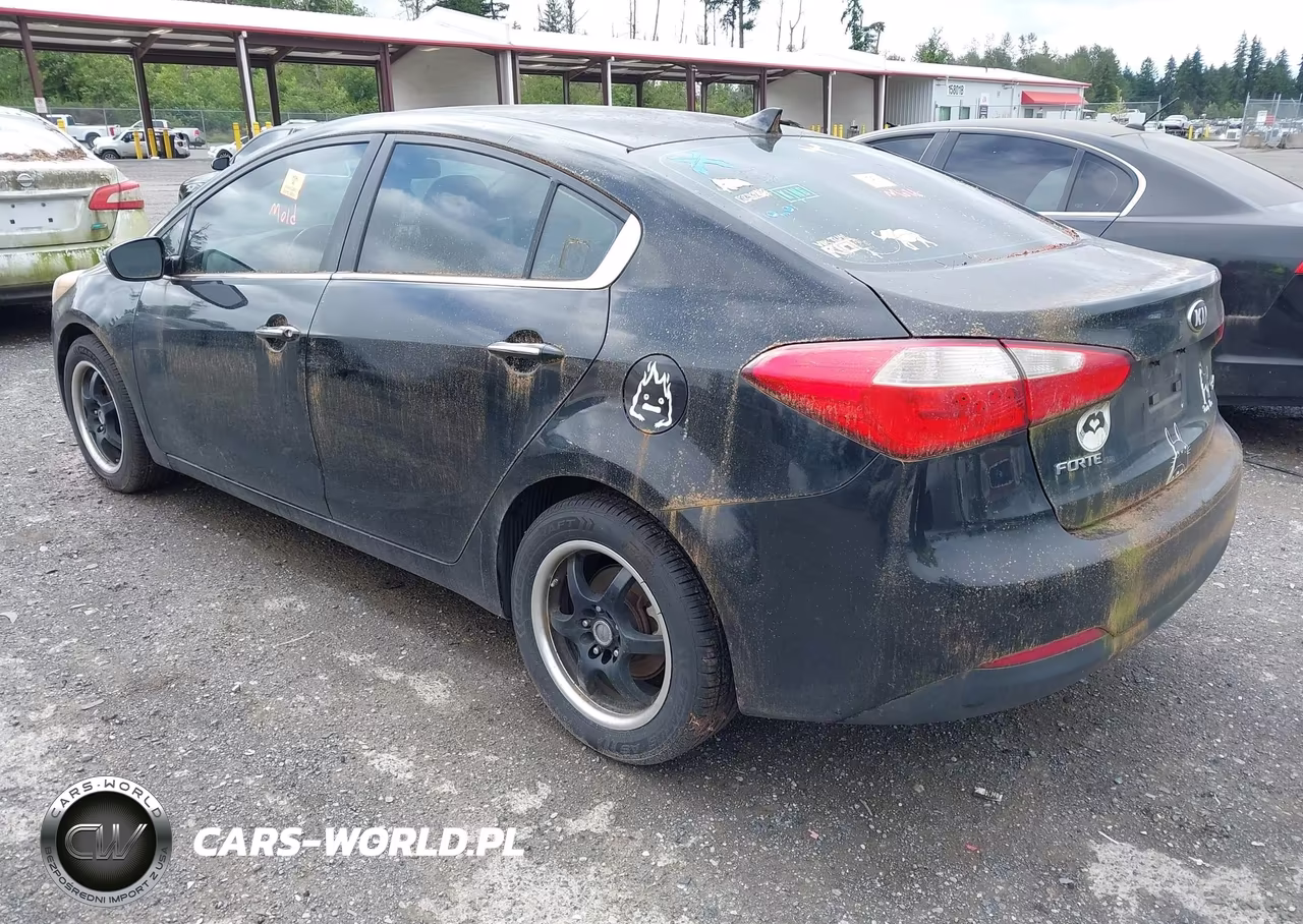2014 Kia Forte Ex VIN:KNAFX4A87E5056445 - 3