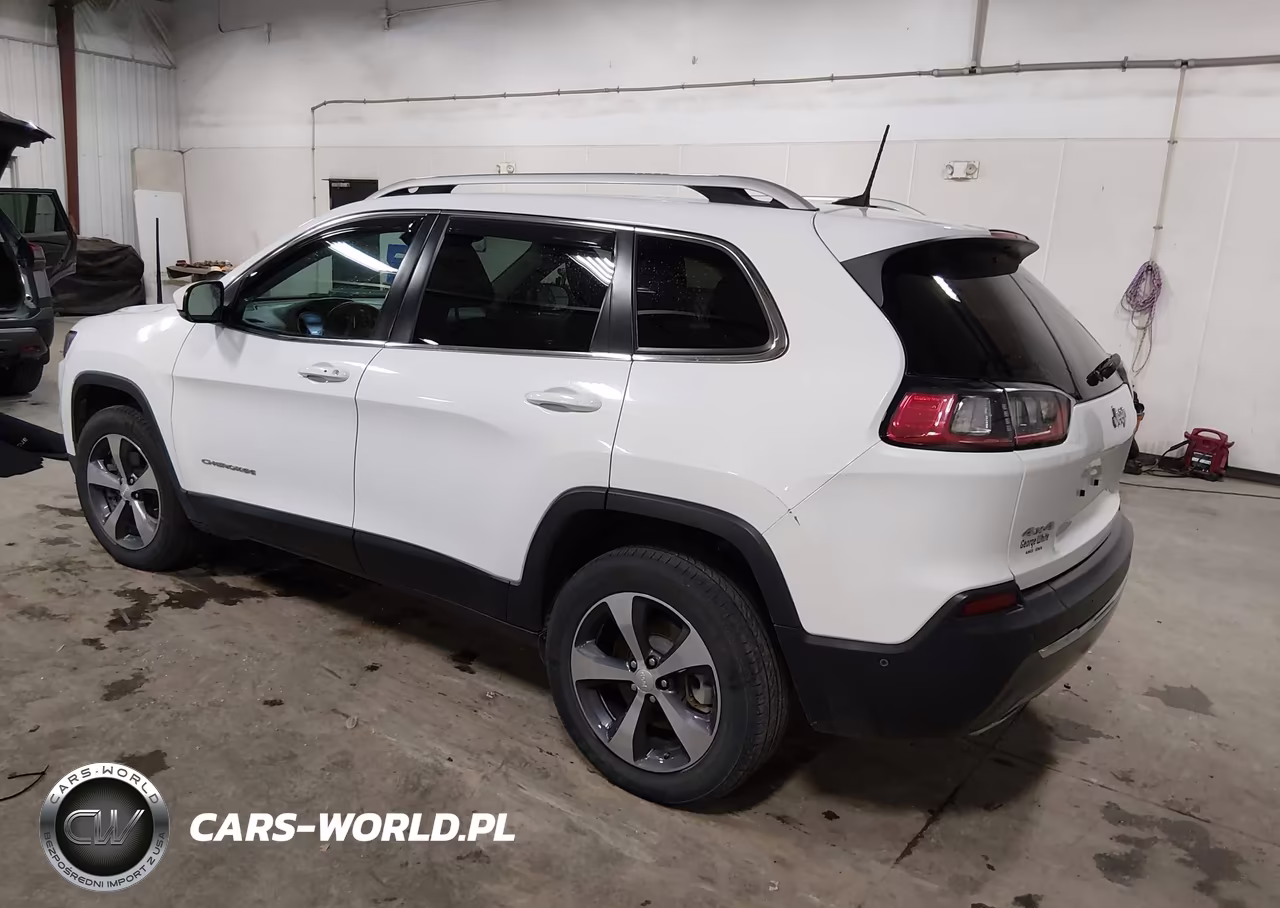 2019 Jeep Cherokee Limited 4X4 VIN:1C4PJMDN7KD179383 - 3