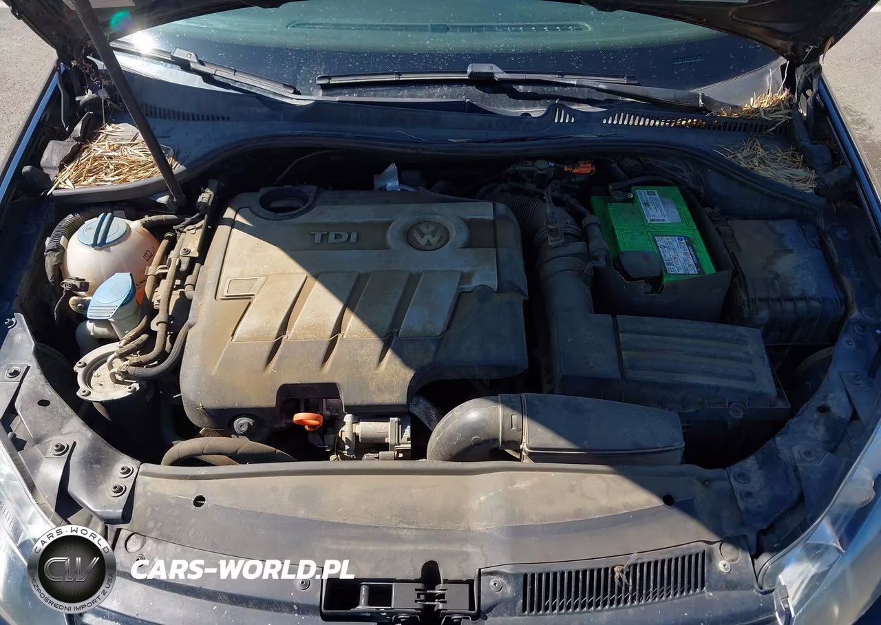 2012 Volkswagen Jetta Sportwagen 2.0L Tdi VIN:3VWML7AJ5CM650594 - 10