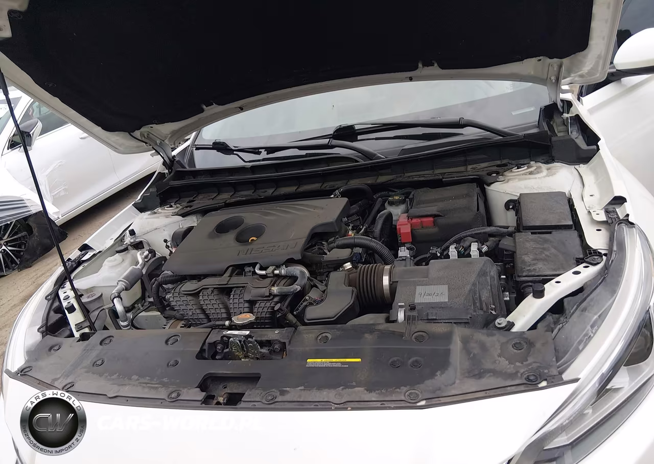 2019 Nissan Altima 2.5 Platinum VIN:1N4BL4FW5KC251767 - 10
