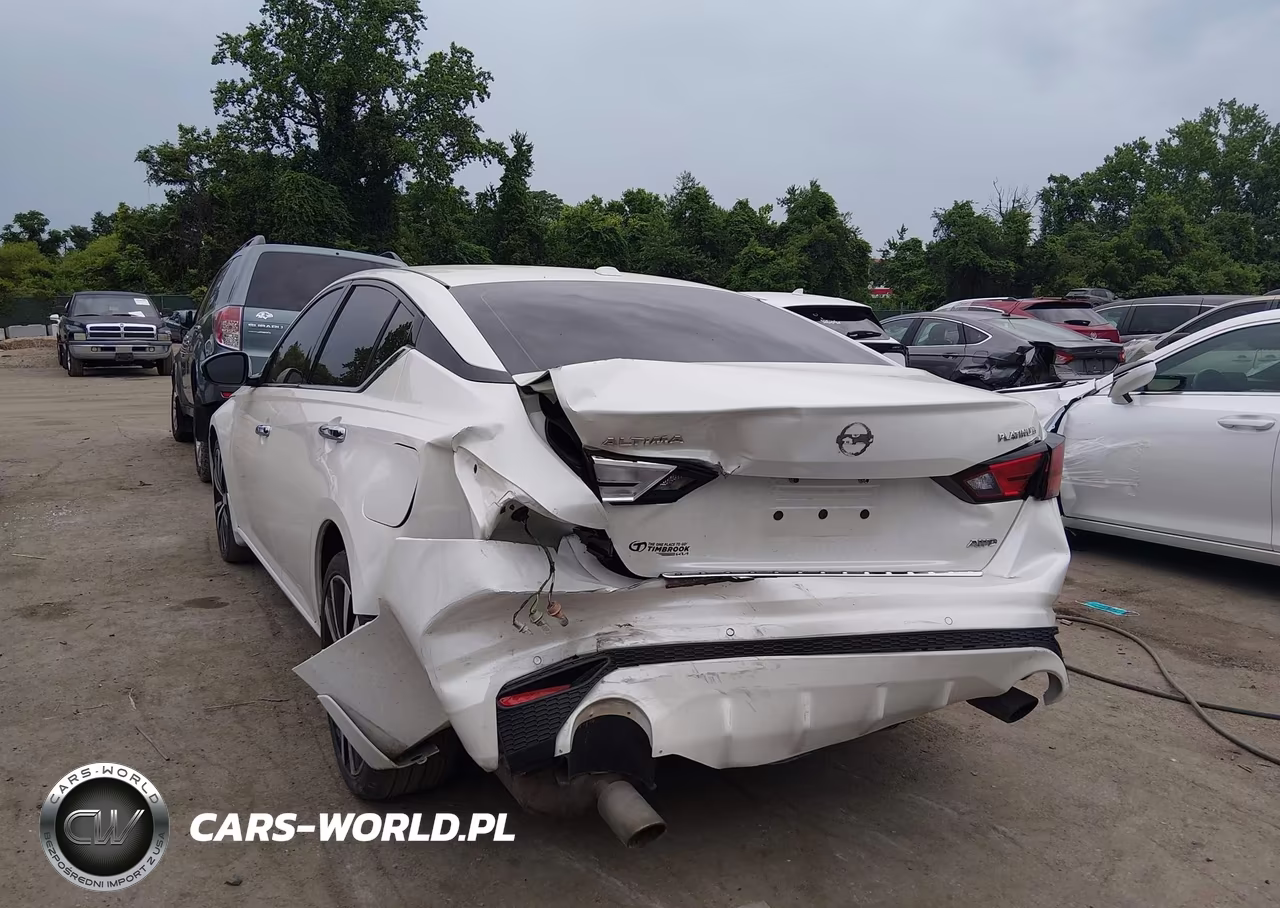 2019 Nissan Altima 2.5 Platinum VIN:1N4BL4FW5KC251767 - 6