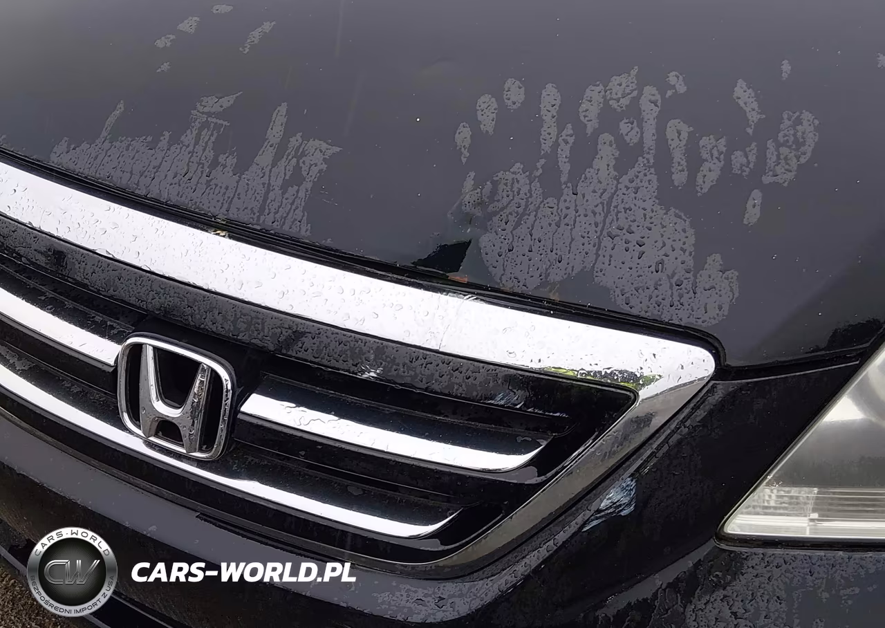 2007 Honda Odyssey Ex-L VIN:5FNRL38777B141208 - 15