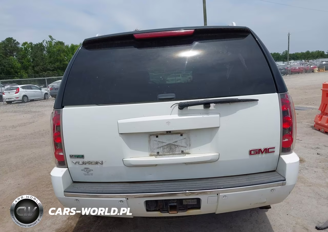 2010 GMC Yukon Denali VIN:1GKUKEEF9AR290861 - 16