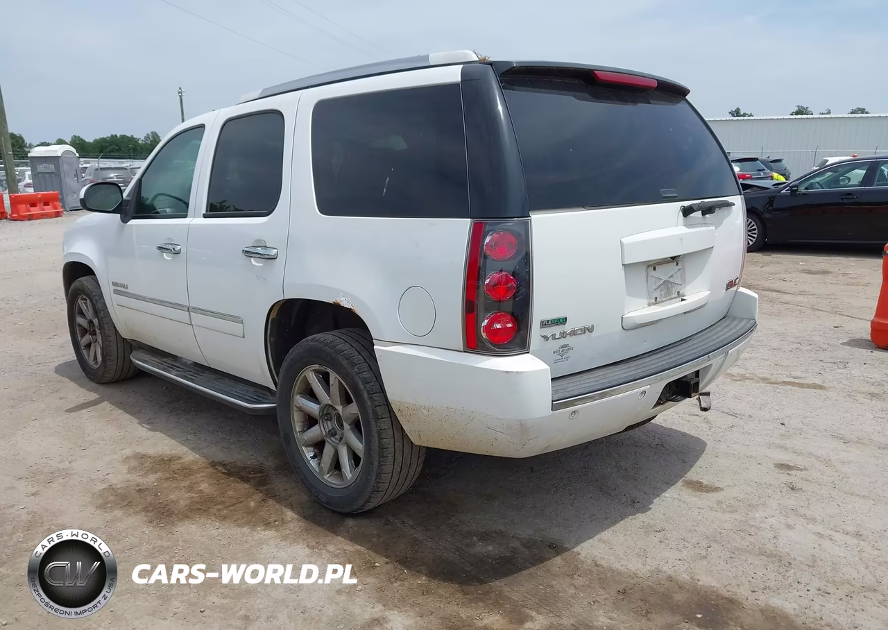 2010 GMC Yukon Denali VIN:1GKUKEEF9AR290861 - 3