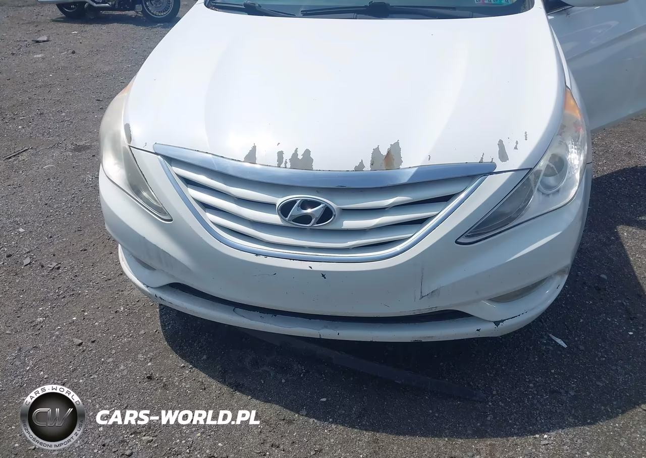 2013 Hyundai Sonata Gls VIN:5NPEB4ACXDH618211 - 6